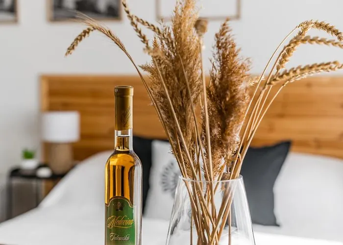 בית הארחה Goralskie Kaciki זקופאנה